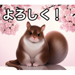 Sakura squirrel feels spring