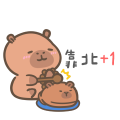 卡皮巴拉肉咪❤️敲敲木魚加功德