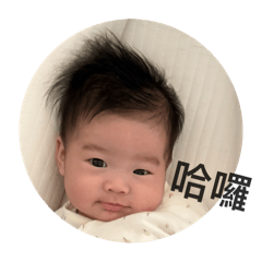霏霏與她的丸哥哥