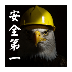 鷲たち現場の声