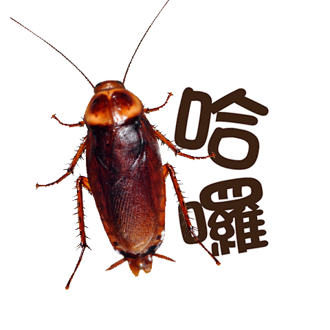 潔西女孩_60_大蟑螂_(全螢幕貼圖)-文字版