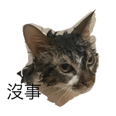 WONDUMI