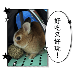 人生劃個圓