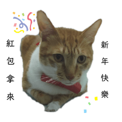 Coby 各種節日