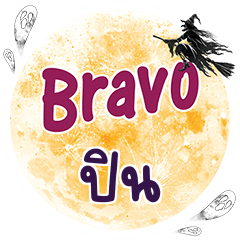 PIN3 Bravo One word
