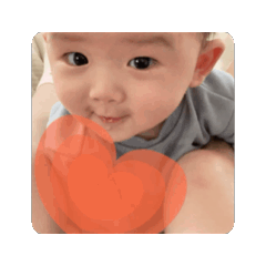 piyo_20250217182705