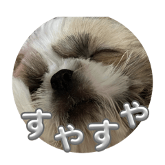 I'm Maro chan.