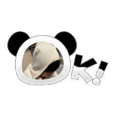 pooochi_20250217220417