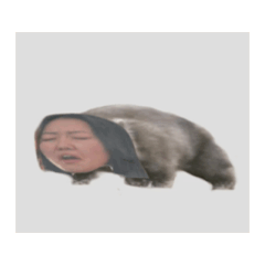 c_20250217151707