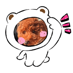 可愛小瓶瓶