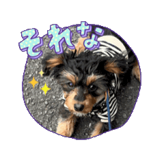 Honoka_20250217192228