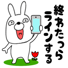 Usao rabbit49