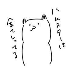 pipi_20250217161014