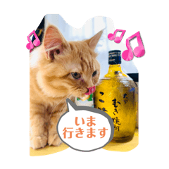 Kasumi_20250217181916