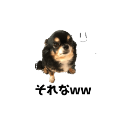 Sa_20250217165501
