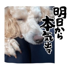 mm_20250217170730