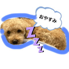 karin_20250217171018