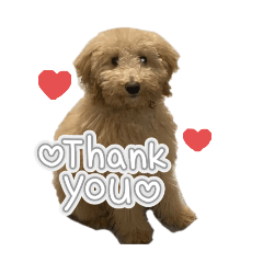 maronron_20250217191315