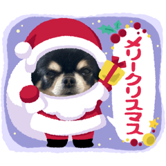 Ichi_20250217173628