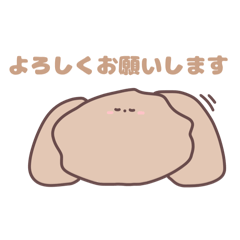 mayumi_20250217180023