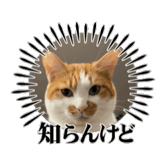 ayachan_20250218131047