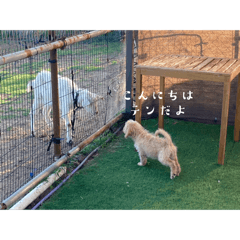HANA_20250217212503