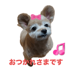 JK_20250217214057
