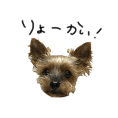 Jack_20250217200147