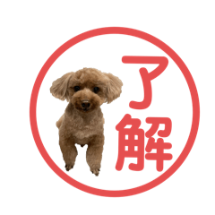 tomochan_20250217222356