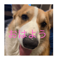 riku_20250217224135