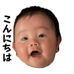 pipi_20250217204733