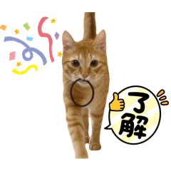 Hitomi@0313