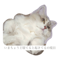 fu_20250217230939