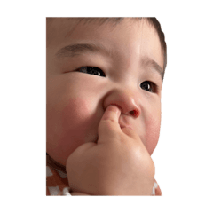 rabbit_pop_20250217224315