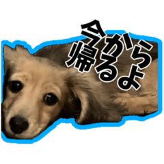 RIRIKA_20250217230722