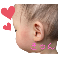 Suzu_20250217225719
