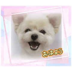 tomo_20250218074749