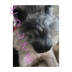 chiro_20250218080437