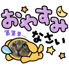 hiroko_20250218132615