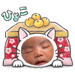 daisy_20250218120901