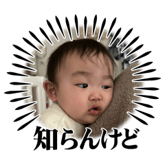 TSUBAKI_20250218121658