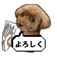 kana_20250218124119