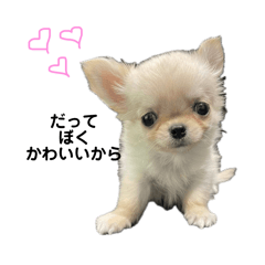 Runa_20250217232020