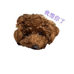 可愛小瓶瓶2