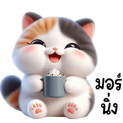 cute chubby tricolor cat