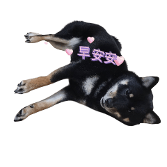 黑仔日常2