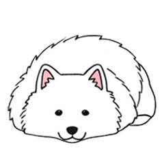 CrispMint Spitz - Minimal Paw