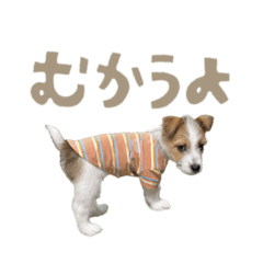 bibi_20250218150326