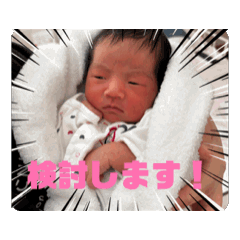 Taro_20250218172518
