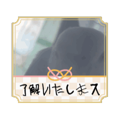 ryo20250218190821